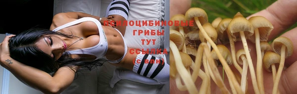 экстази Баксан