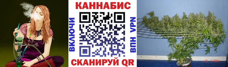 наркотики  Бикин  Шишки марихуана SATIVA & INDICA 